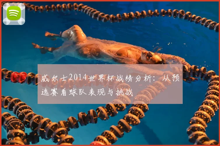 威尔士2014世界杯战绩分析：从预选赛看球队表现与挑战