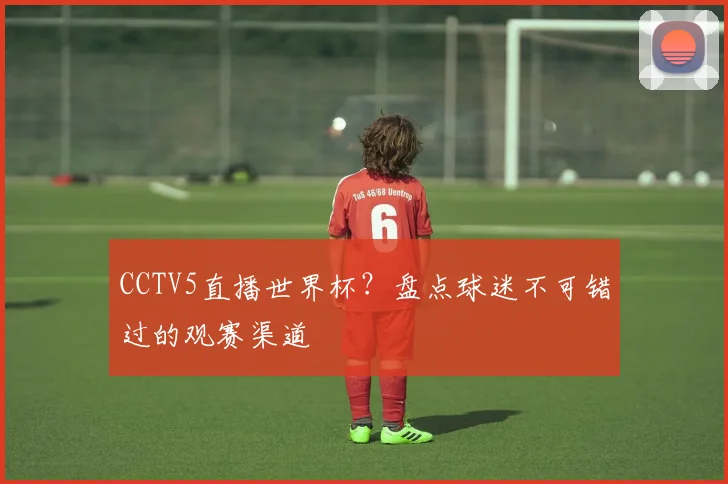 CCTV5直播世界杯？盘点球迷不可错过的观赛渠道