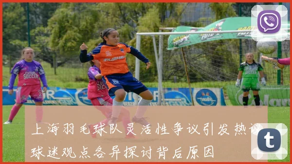 上海羽毛球队灵活性争议引发热议球迷观点各异探讨背后原因