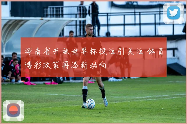海南省开放世界杯投注引关注 体育博彩政策再添新动向