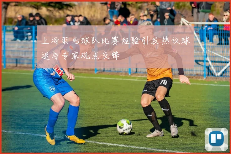 上海羽毛球队比赛经验引发热议球迷与专家观点交锋