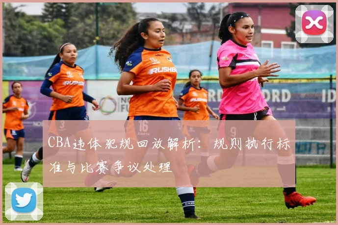 CBA违体犯规回放解析:规则执行标准与比赛争议处理