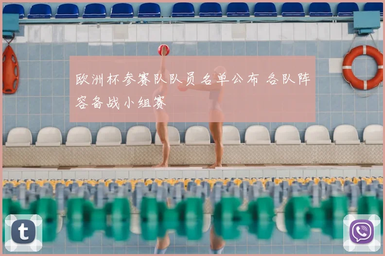 欧洲杯参赛队队员名单公布 各队阵容备战小组赛