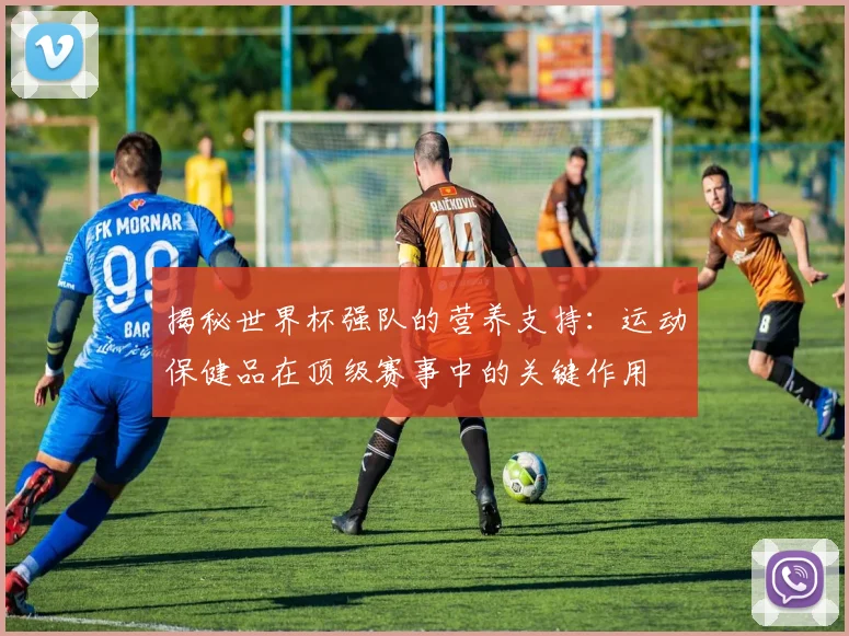 揭秘世界杯强队的营养支持：运动保健品在顶级赛事中的关键作用