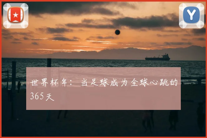 世界杯年：当足球成为全球心跳的365天