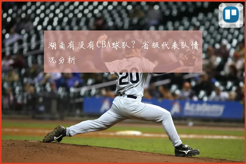 湖南有没有CBA球队?省级代表队情况分析